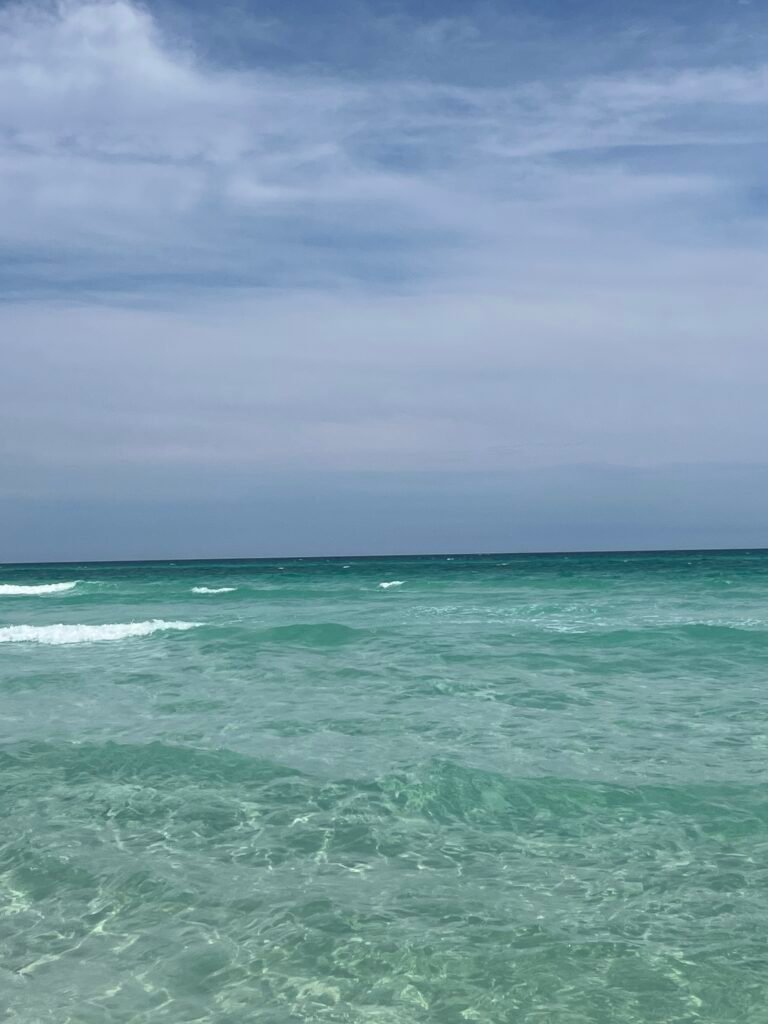 img 3463